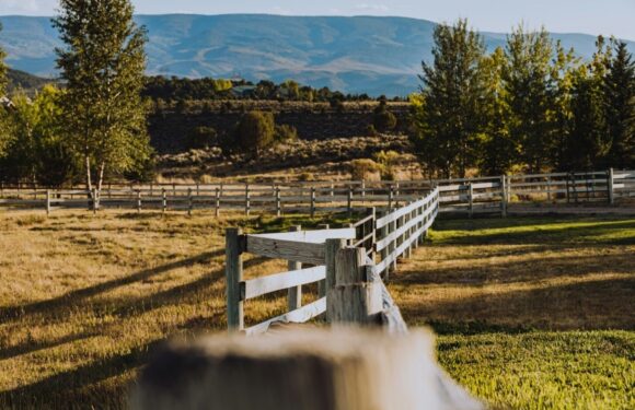 A wooden fence curves through a grassy field with trees, hills, and mountains in the background under a clear blue sky.
