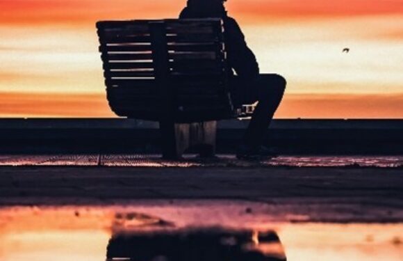 Silhouetted person playing an upright piano on a calm seashore at sunset, mirrored reflection in still water under pink-orange sky