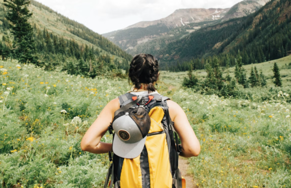 A person with braided hair, wearing a gray hat, hiking in a lush green mountain meadow with wildflowers, surrounded by dense trees and distant mountains.