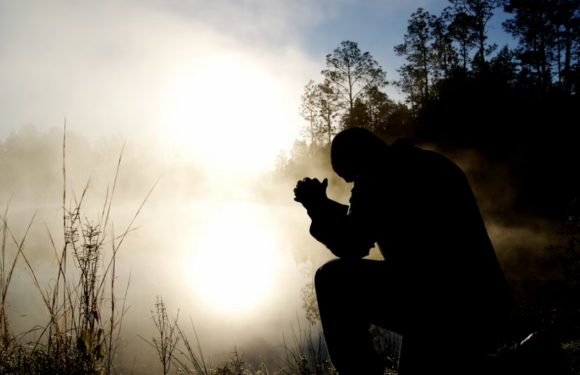 Silhouette of a person in profile crouching near tall reeds by a misty sunrise, with trees and warm backlight in the background.
