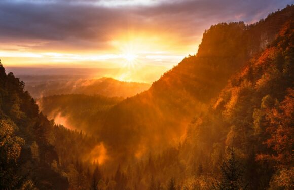 Sunrise viewed through tree covered mountain landscape.