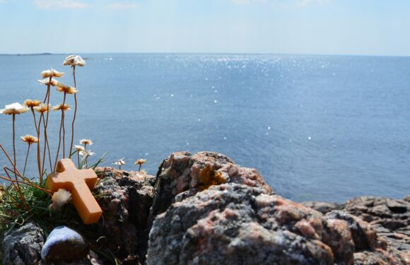 Coastal rocks by the sea with small white flowers, a wooden star ornament, and bright sunlit water in the background
