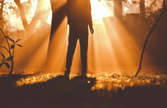 Silhouette of a person standing outdoors at sunset or sunrise, with sunlight streaming through trees creating a warm, glowing atmosphere.