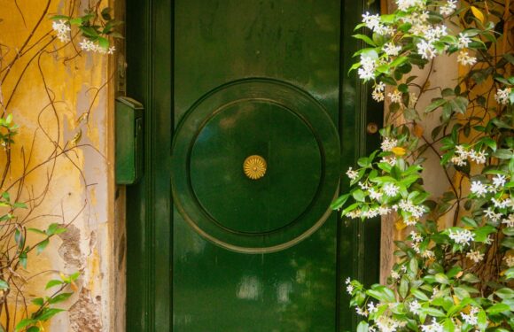 A dark green door surrounded by white flowering vines and plants, with an orange clay pot on the left side. The door has a decorative round feature in the center.