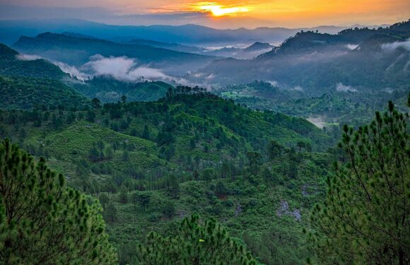 Sunrise over rolling green hills and forested mountains, with misty valleys and pink-orange sky clouds.