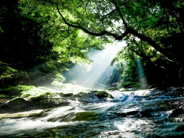 Photo by Takumi via Unsplash com