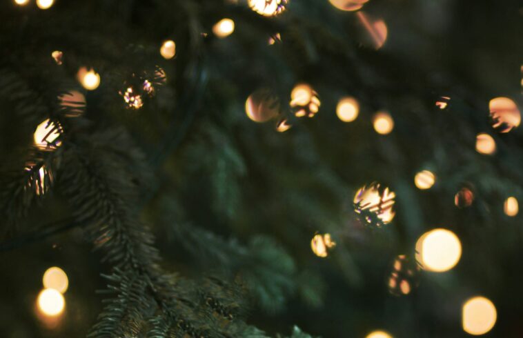 Green pine needles with warm golden holiday lights bokeh, softly out of focus, festive winter background.