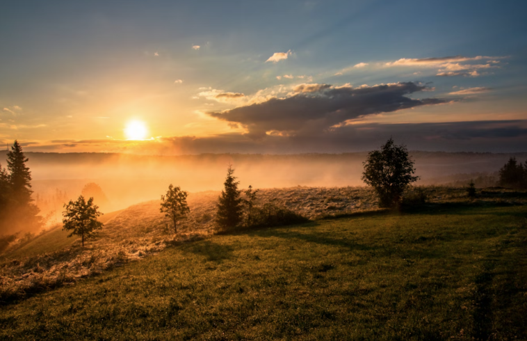 A sunrise over a grassy landscape with small trees, mist rising, and a partly cloudy sky with the sun shining through the clouds.