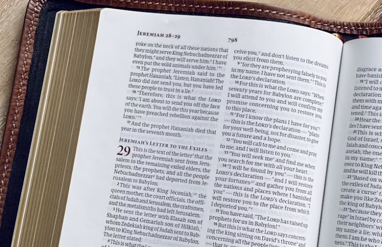 Tuesday Truths - God's Plan