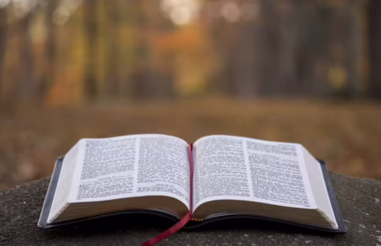 An open Bible with a red ribbon bookmark, placed on a stone surface outdoors, with a blurred background of trees and fall foliage.