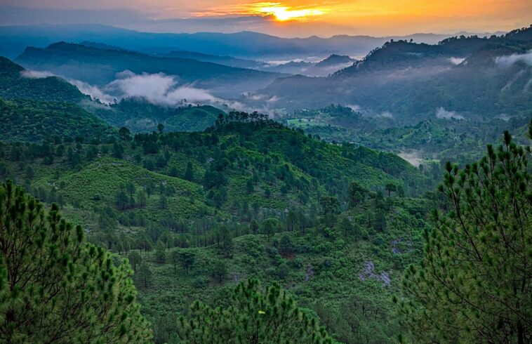 Sunrise over rolling green hills and forested mountains, with misty valleys and pink-orange sky clouds.