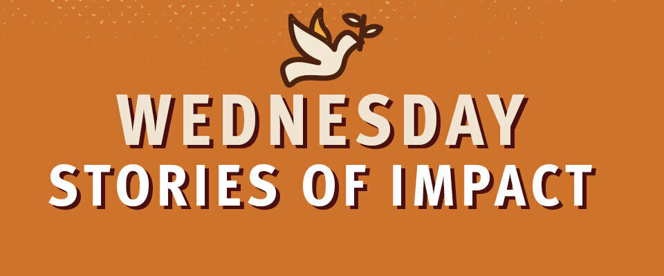 Wednesday 960x620 2025 09 17 104517 vcfe