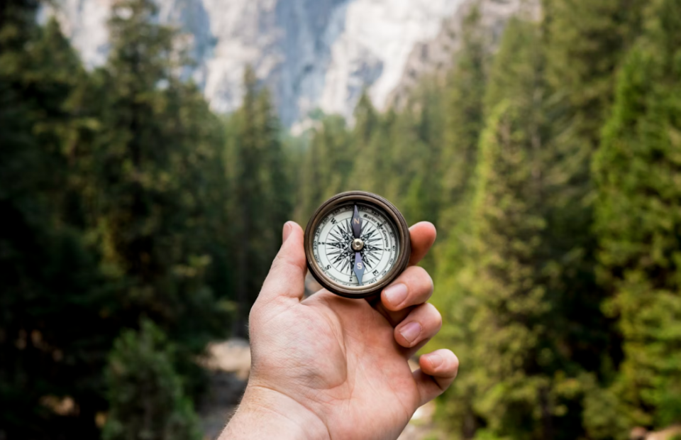 A person holding a compass outdoors with a lush green forest and rocky cliffs in the background.