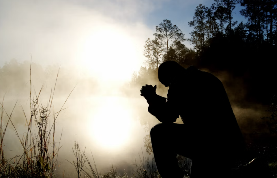 Silhouette of a person in profile crouching near tall reeds by a misty sunrise, with trees and warm backlight in the background.